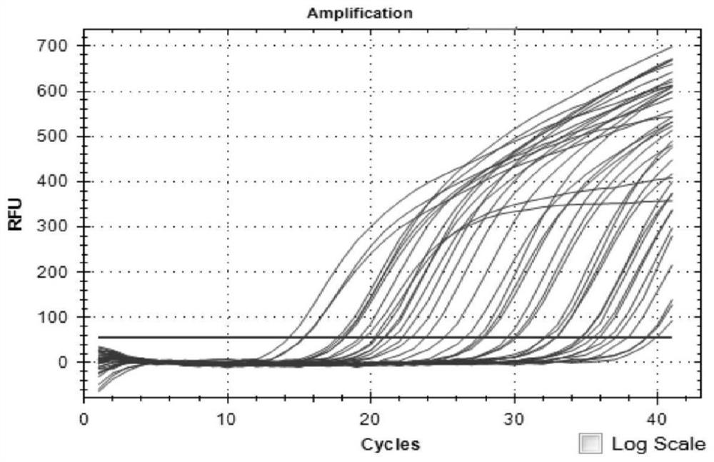 Nested fluorescent quantitative PCR (Polymerase Chain Reaction) detection method for Lyme disease spirochetes