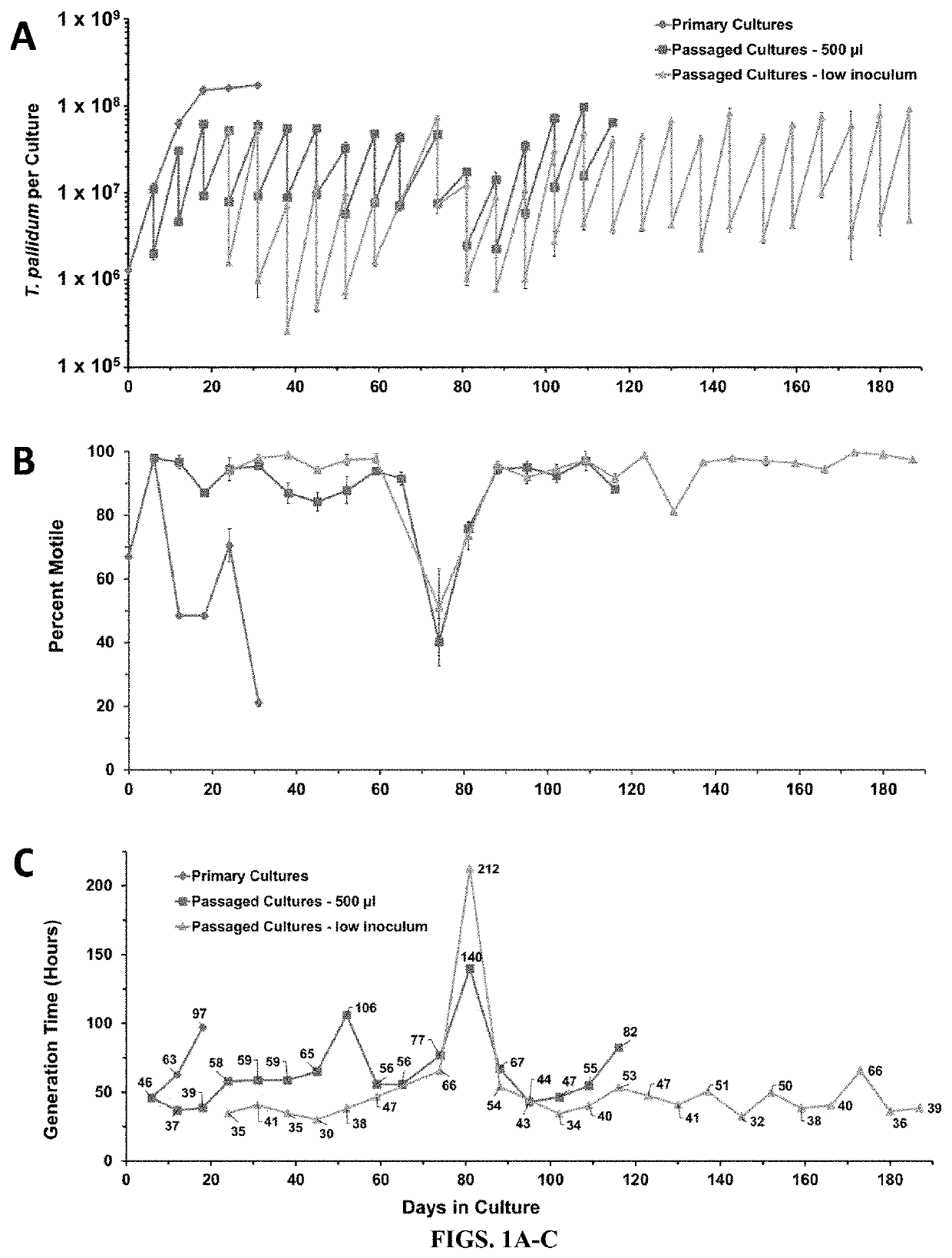 Compositions and methods for long-term in vitro culture of the syphilis spirochete