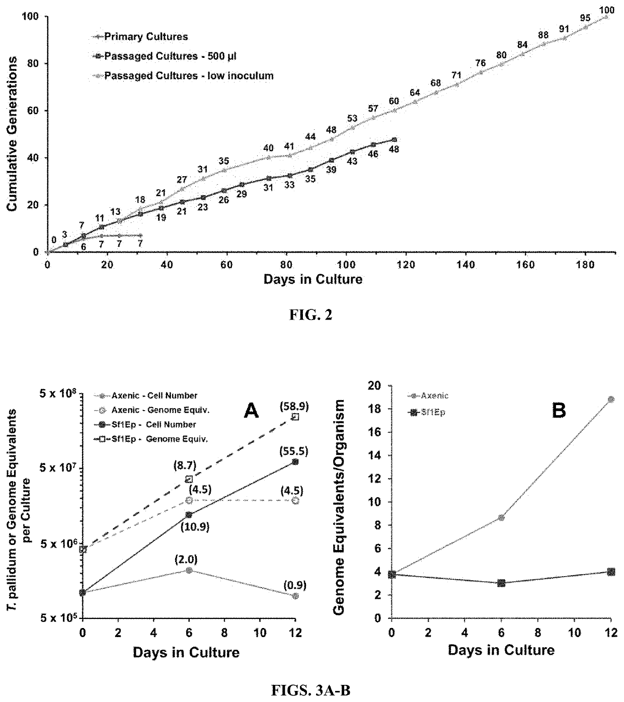 Compositions and methods for long-term in vitro culture of the syphilis spirochete