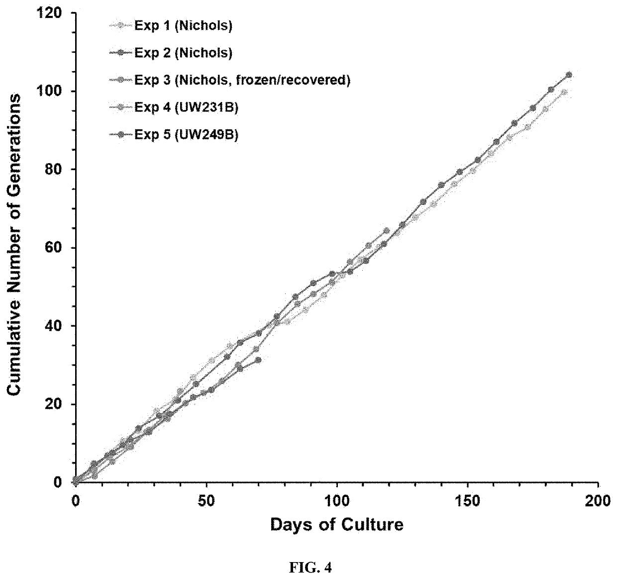 Compositions and methods for long-term in vitro culture of the syphilis spirochete