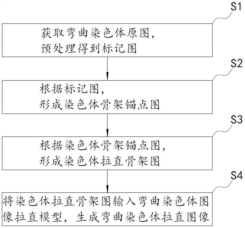 Curved chromosome image straightening method and system based on BagPix2Pix self-learning model, storage medium and device