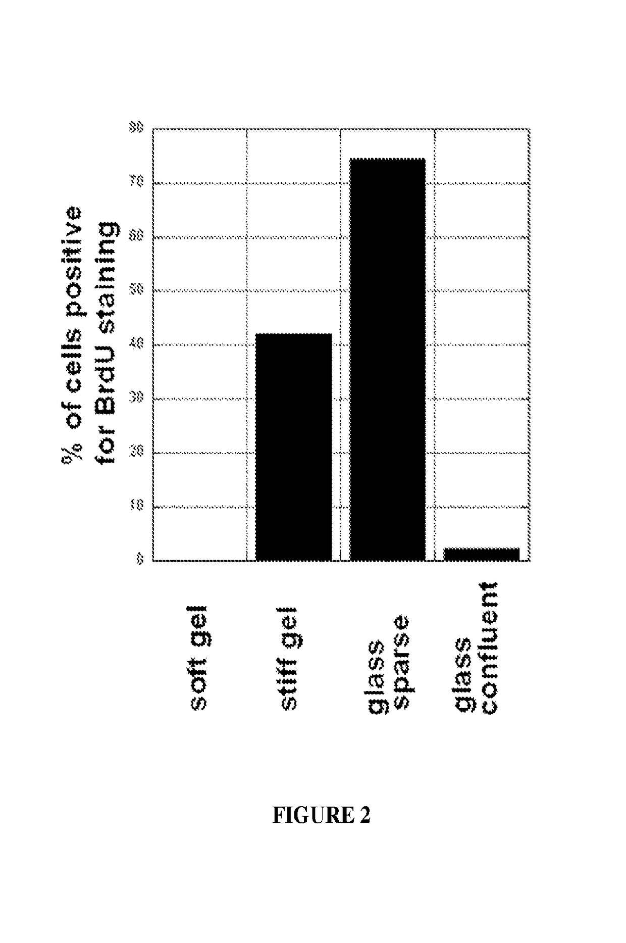 Low rigidity gels for MSC growth modulation