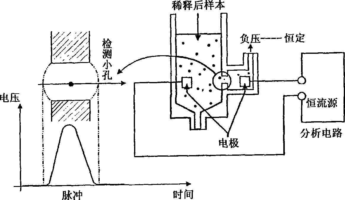 Method for improving accuracy of blood sample leukocyte classifying result