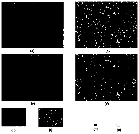 Dynamic downsampling image segmentation method