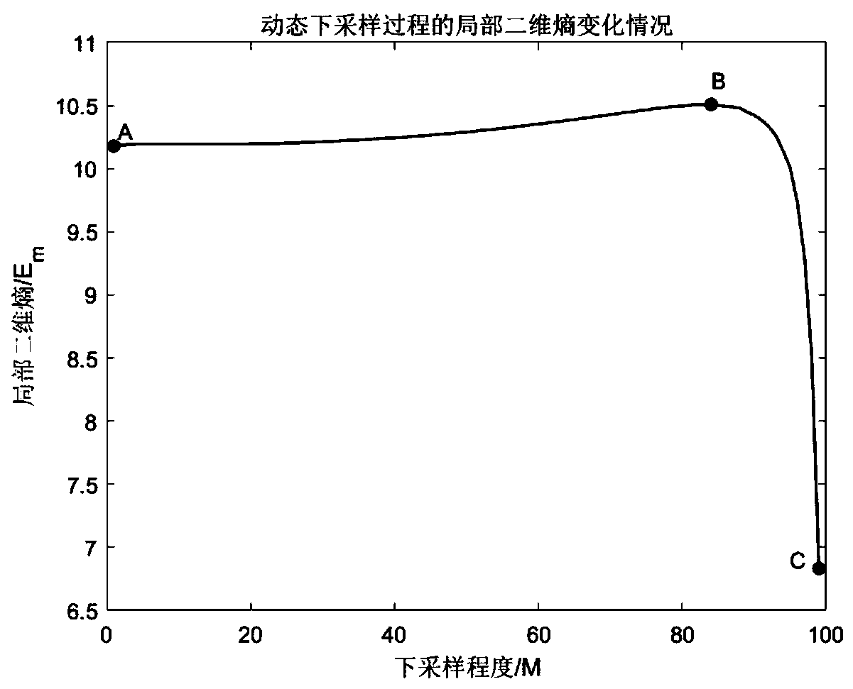 Dynamic downsampling image segmentation method