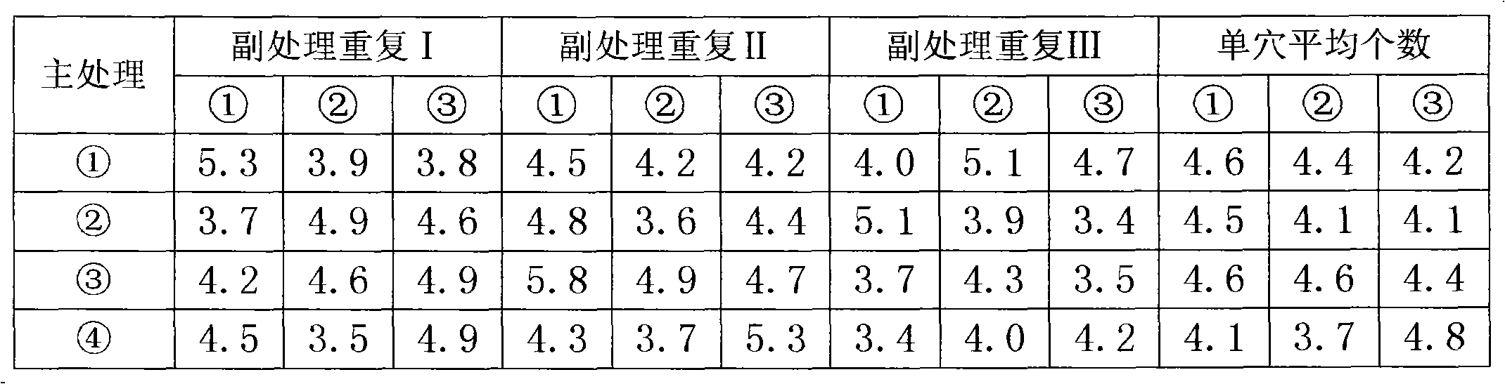 Method for interplanting potato and corn in semihumid and semi-arid region