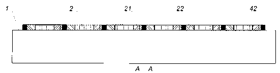 Method for acoustic-electric coupling isolation among multiple surface acoustic wave filters integrated on single substrate