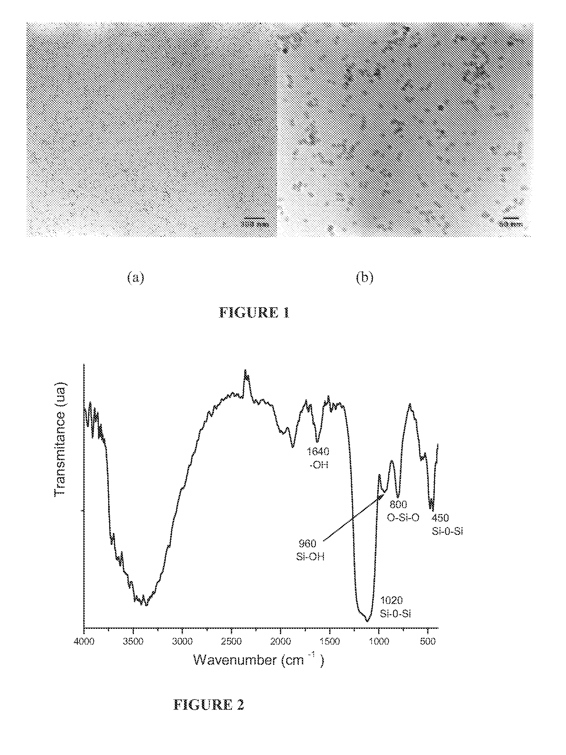 Hybrid nanoparticles with controlled morphology and their use in thermoplastic polymer matrix nanocomposites