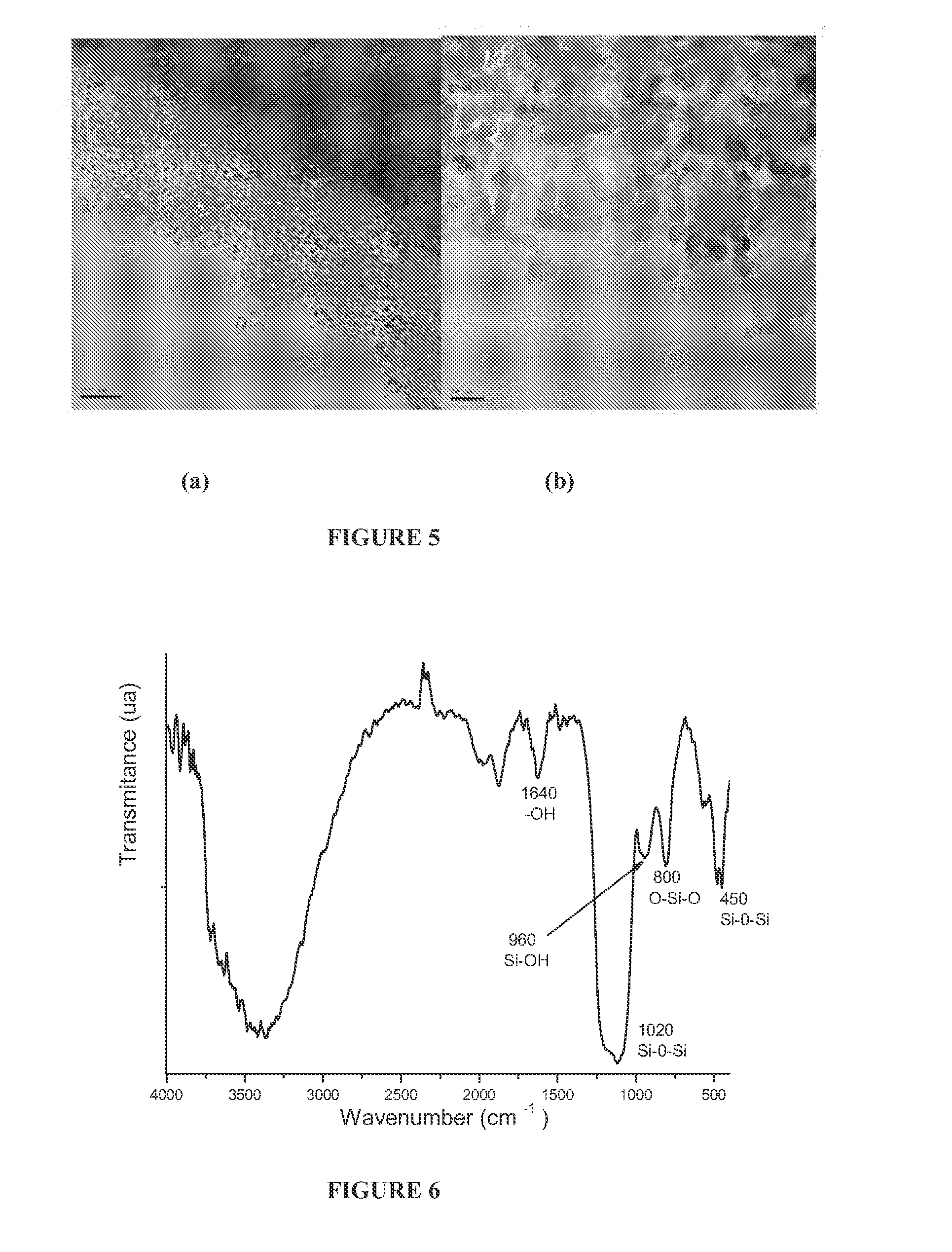 Hybrid nanoparticles with controlled morphology and their use in thermoplastic polymer matrix nanocomposites