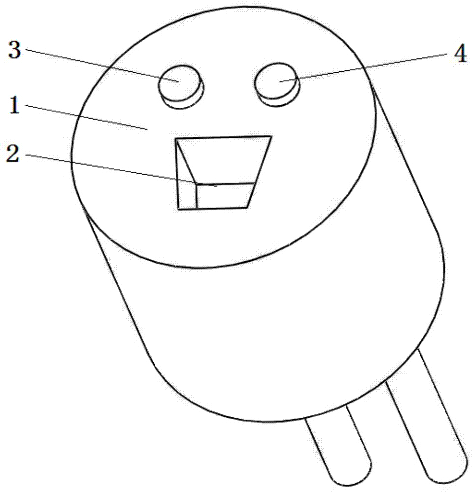 Micro asymmetric ceramic electrode plug