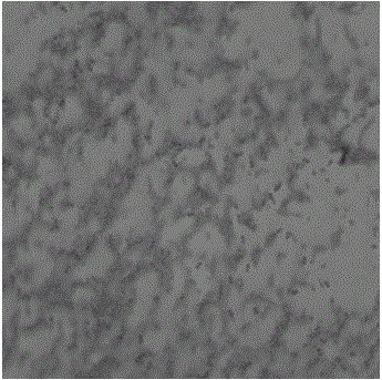 Bacillus subtilis CF-3 and culture method thereof