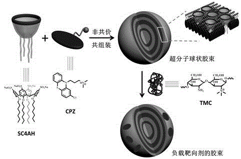 Preparation method of supermolecule globular micelle based on antidepressant medicament chlorpromazine