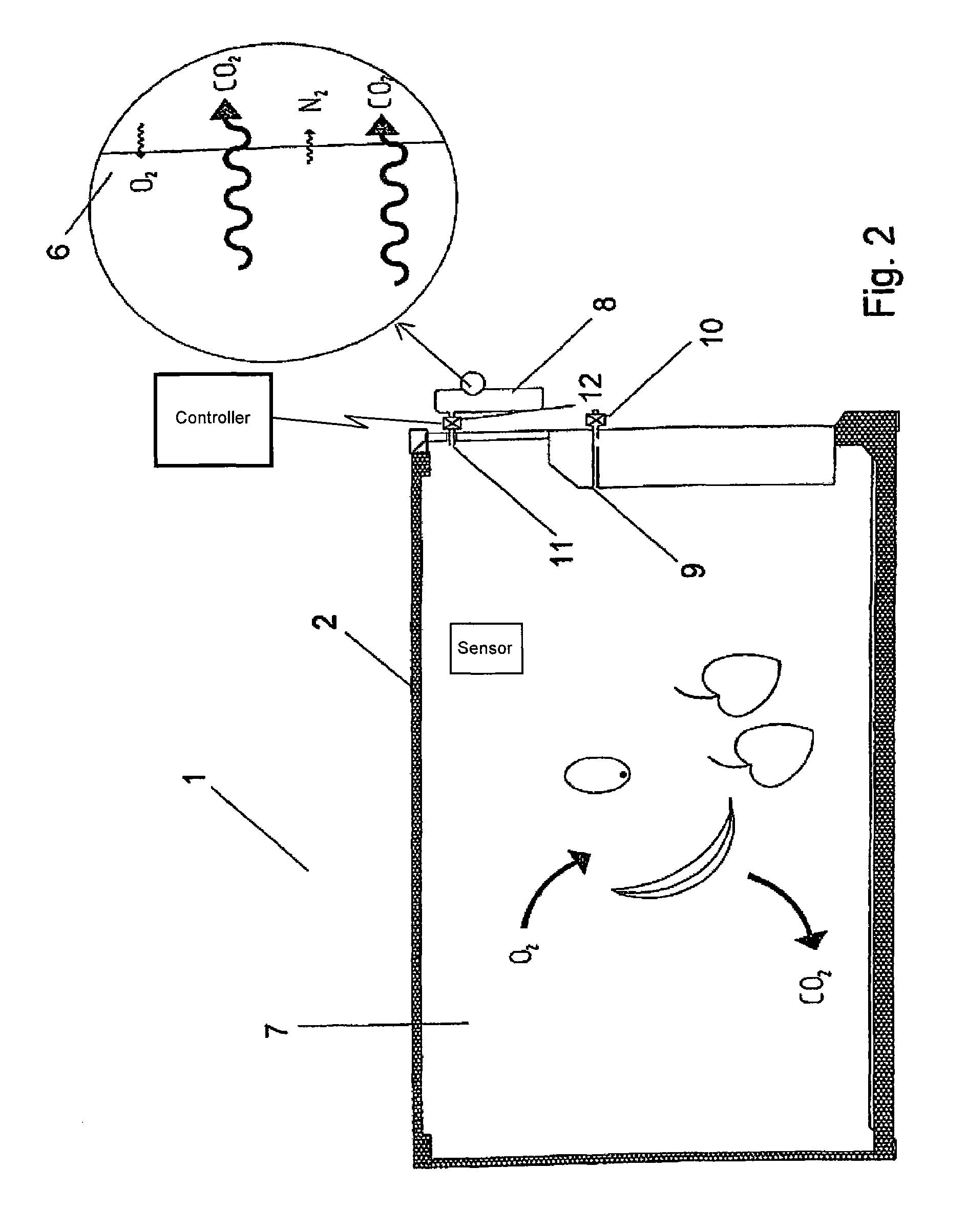 Apparatus for controlling the composition of gases within a container