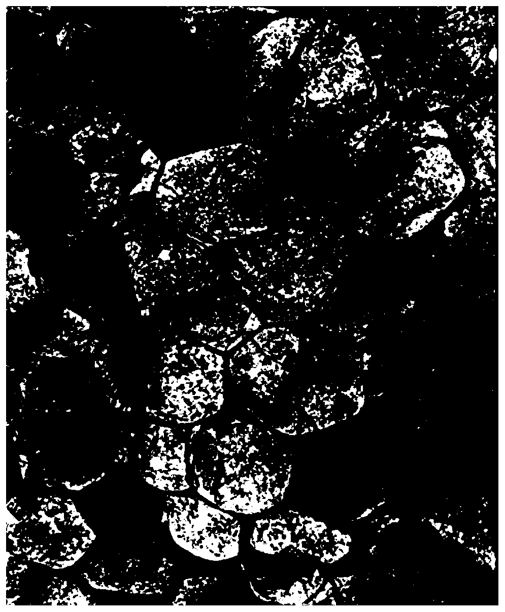 Method for preparing rregular columnar joint type rock sample