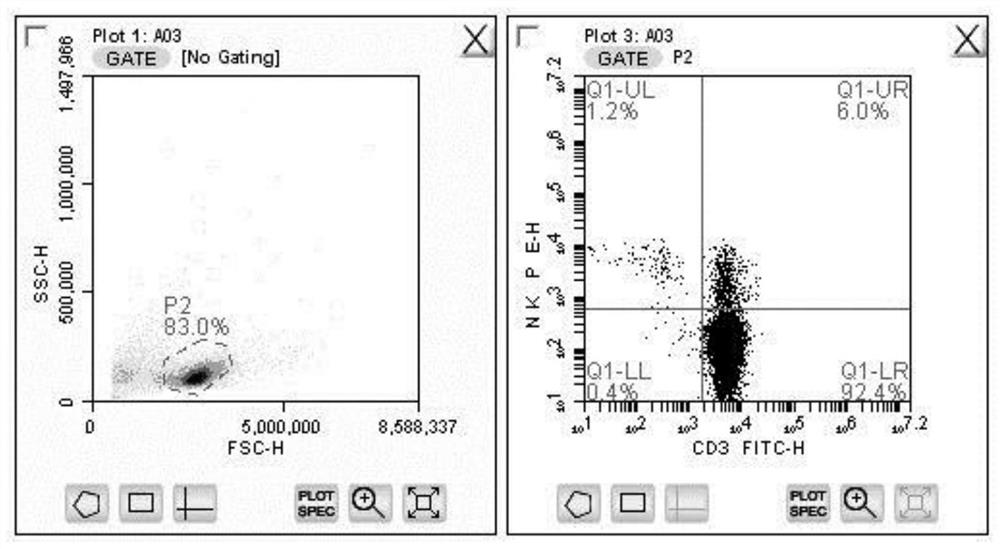 Induced amplification method of CIK2 (NK NK-T) cells