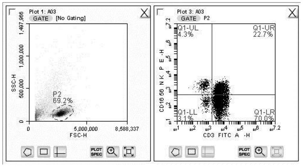 Induced amplification method of CIK2 (NK NK-T) cells