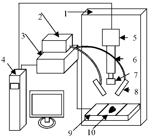 Fast detection method for rape water demand information