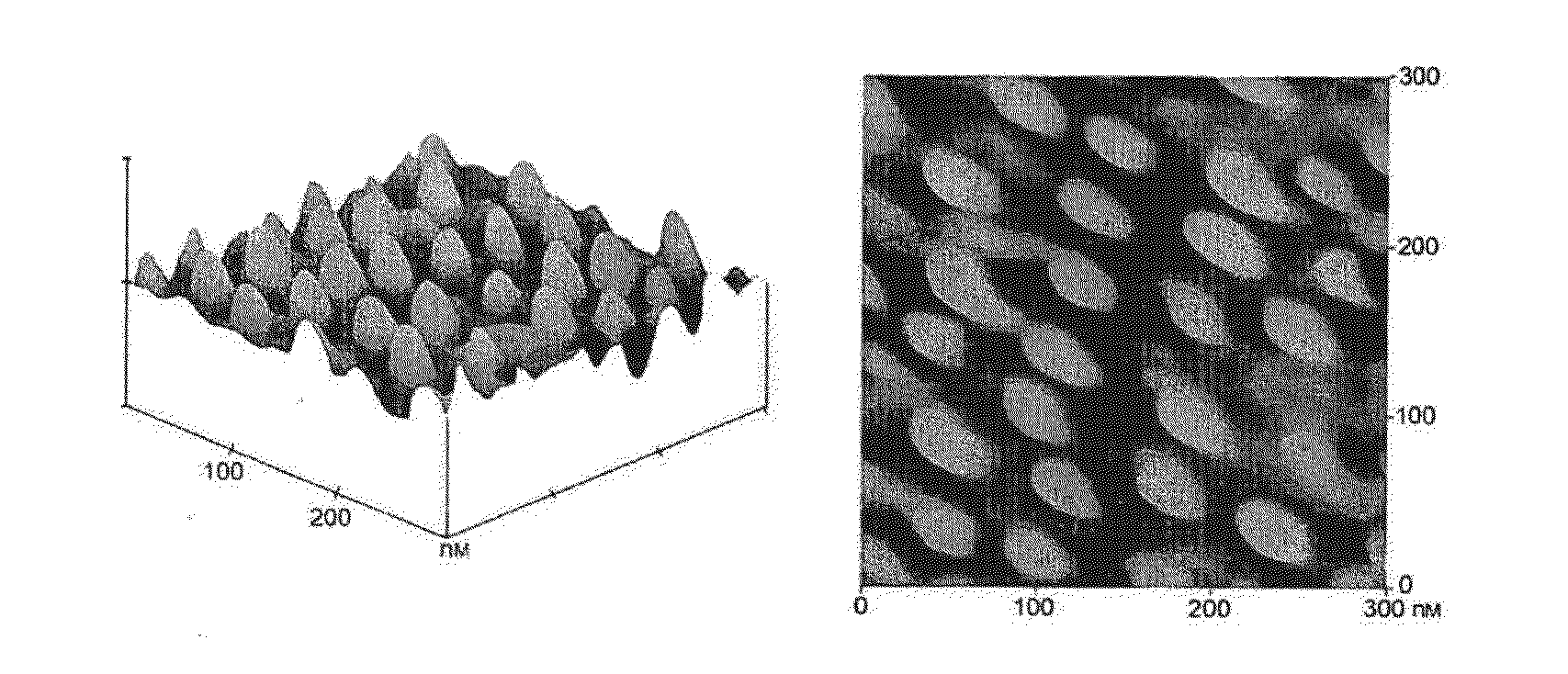 Method for the fabrication of periodic structures on polymers using plasma processes