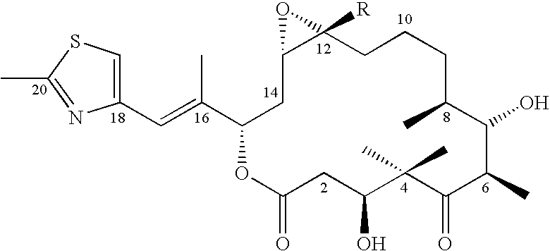 6-Alkenyl -, 6-alkinyl- and 6-epoxy-epothilone derivatives, process for their production, and their use in pharmaceutical preparations