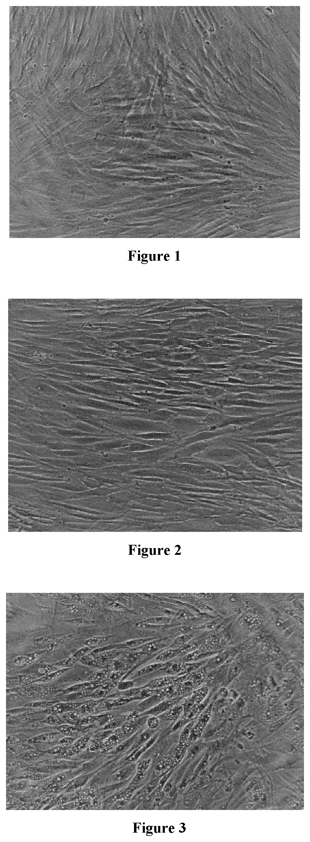 Glycopeptides Increasing Lipid Synthesis