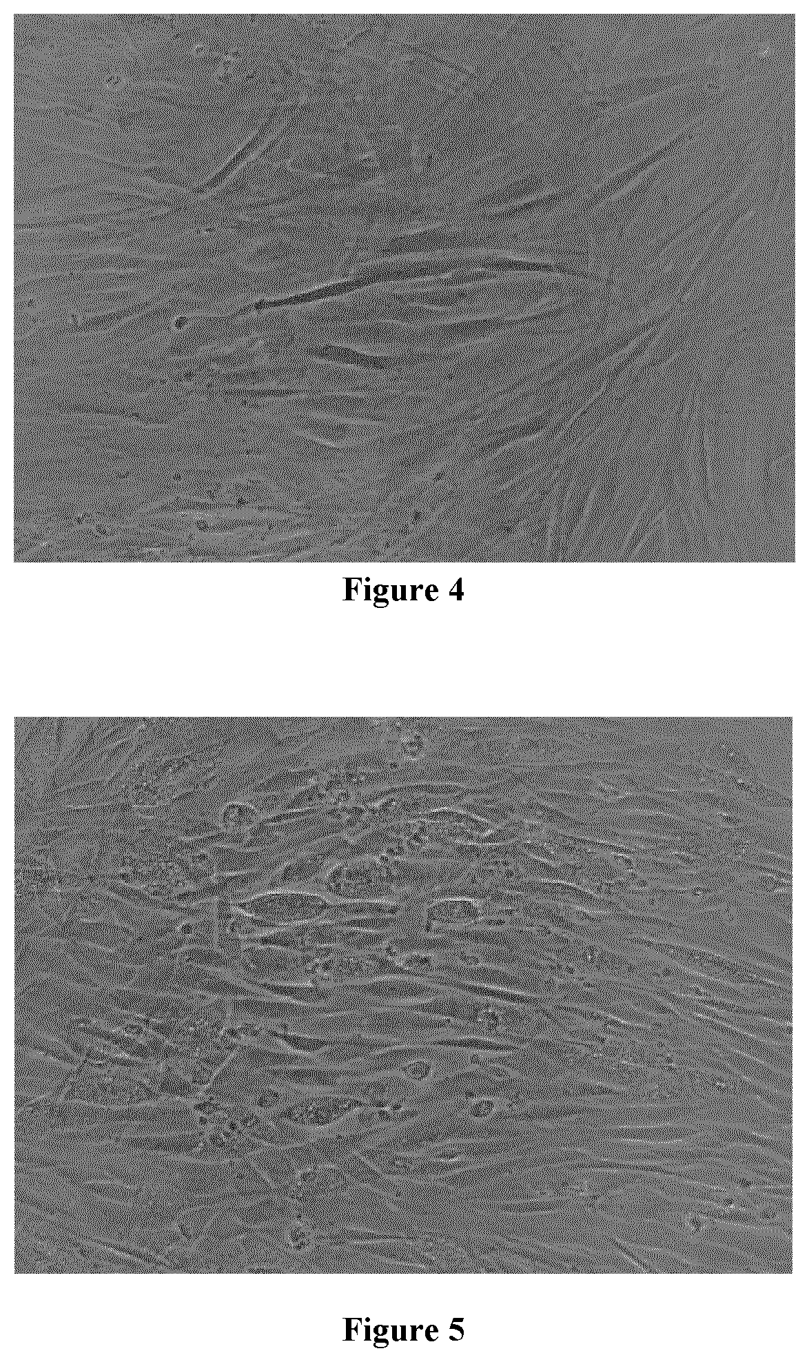 Glycopeptides Increasing Lipid Synthesis