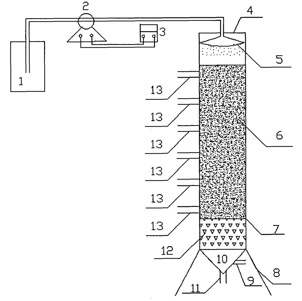 Soil anammox bacterium gathering system simulating natural environment