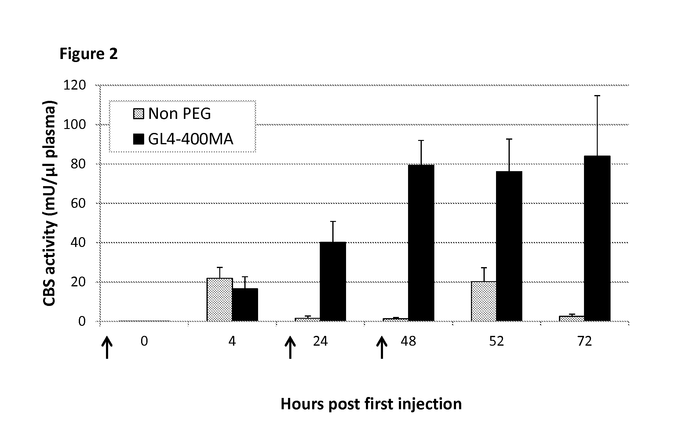 Chemically modified cystathionine beta-synthase enzyme for treatment of homocystinuria