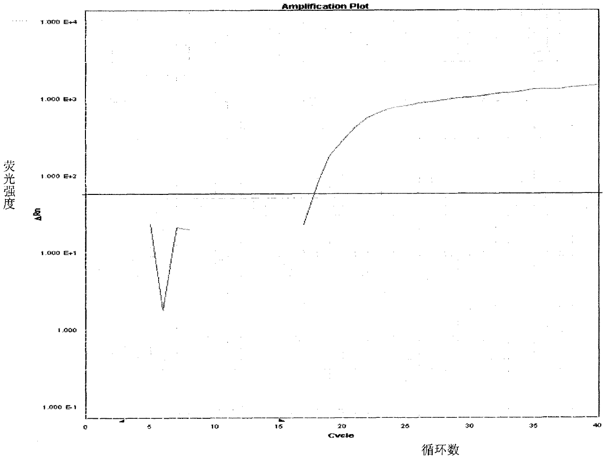 Primers and probes for detecting fox component in food and feed