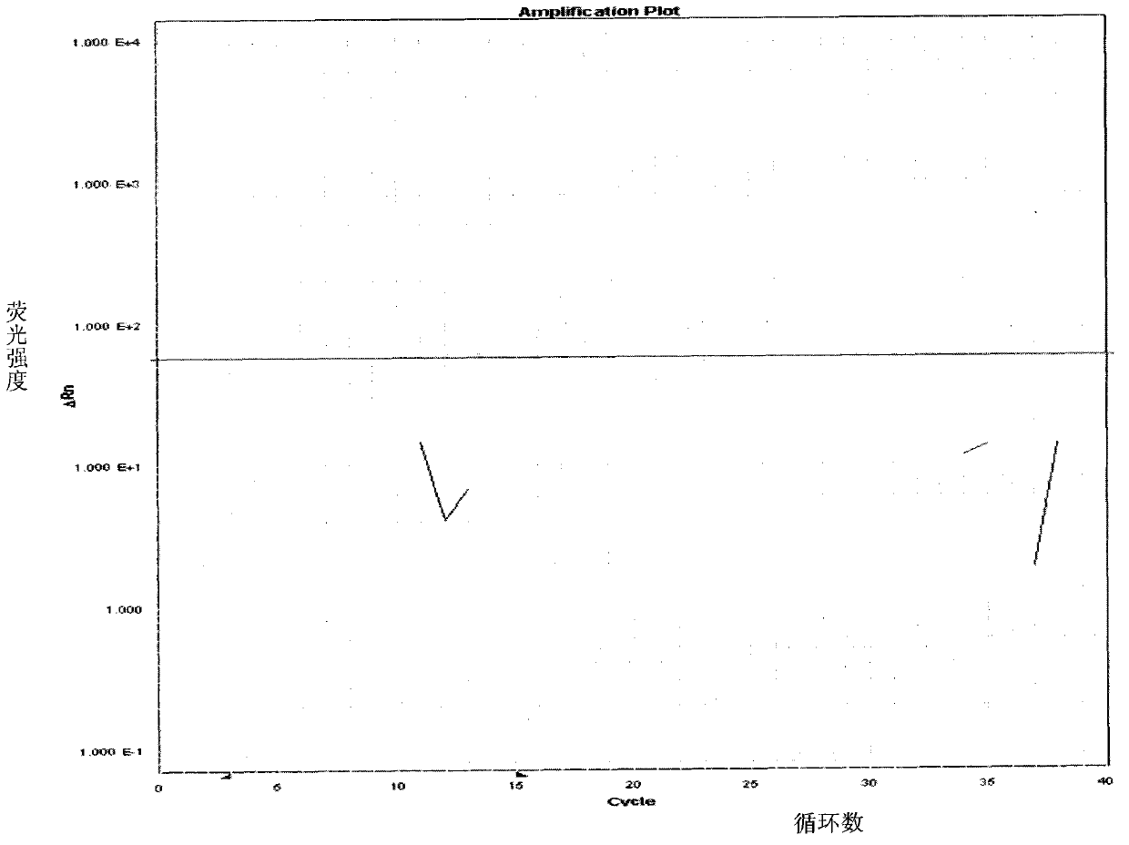 Primers and probes for detecting fox component in food and feed