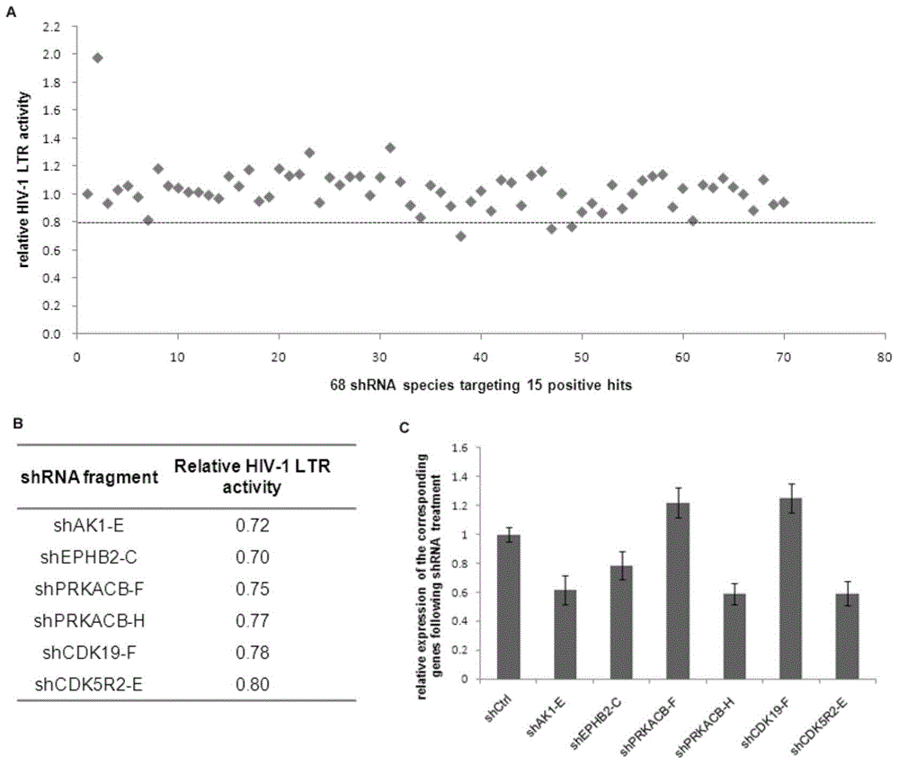 A method of screening an HIV-1 activity determinative factor based on high-throughput RNAi