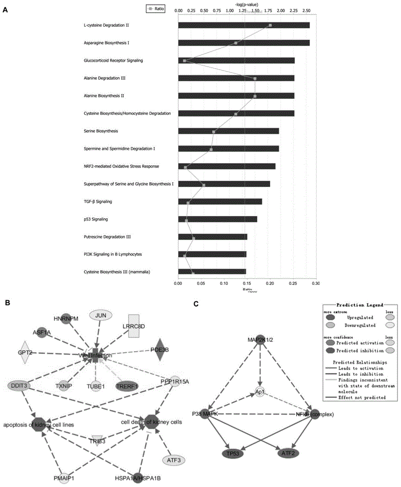 A method of screening an HIV-1 activity determinative factor based on high-throughput RNAi