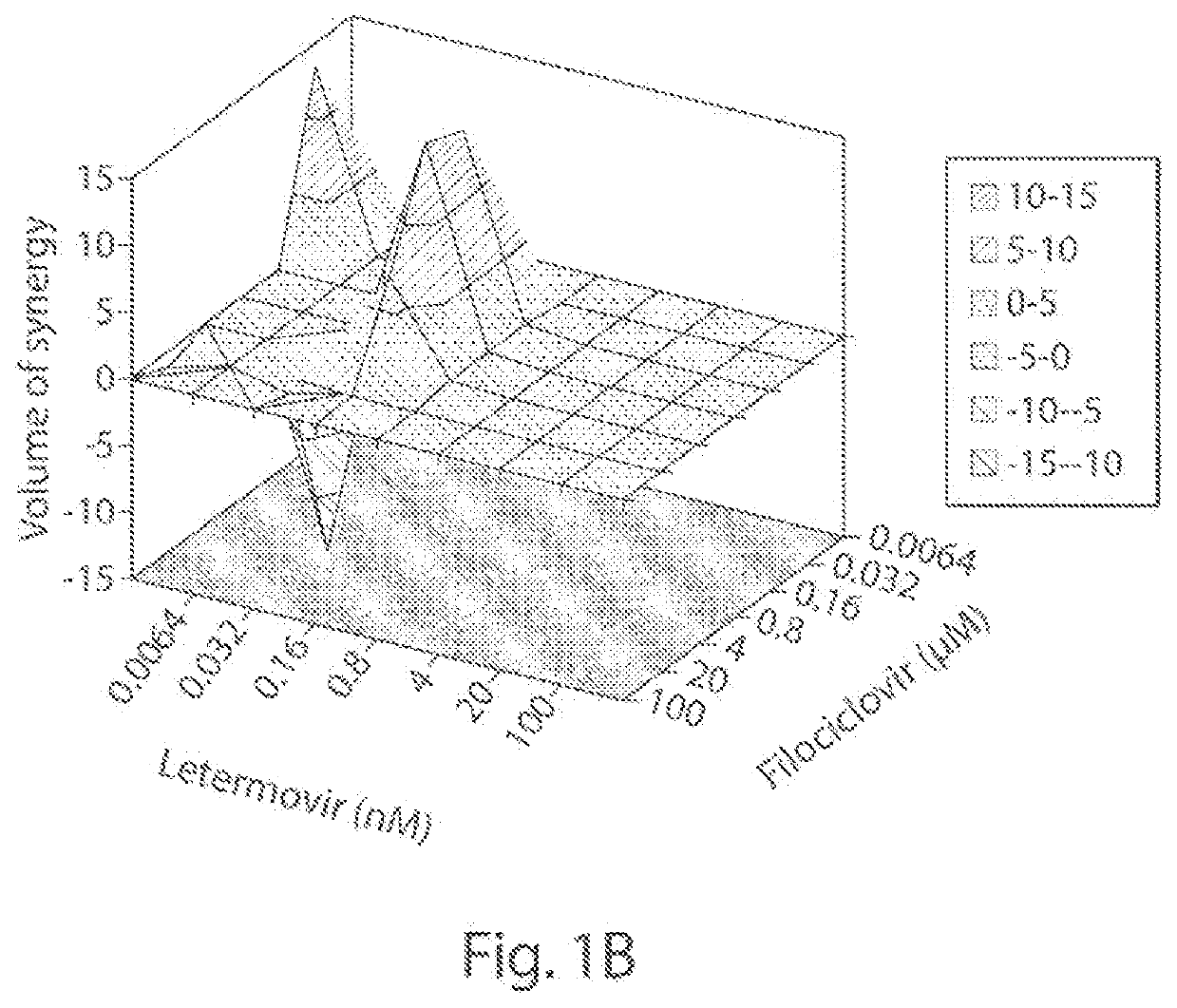 Combination drug treatment for human cytomegalovirus