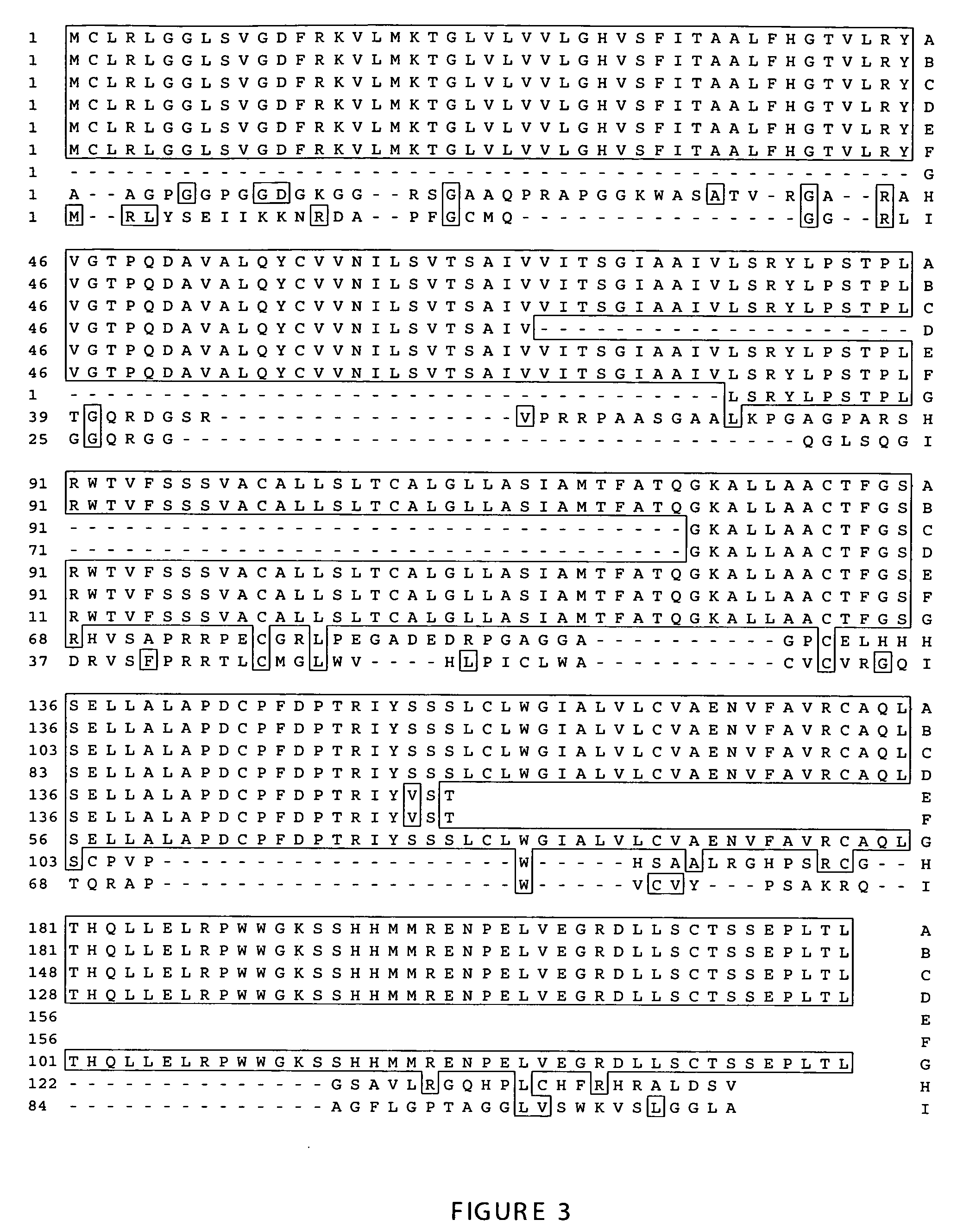 Methods of therapy and diagnosis using targeting of cells that express BCLP polypeptides