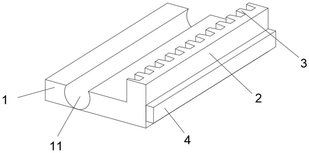 Fertilization tool for forestry seedling cultivation