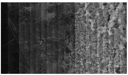 Light and color homogenizing method and system used among images and considering radiation two-dimensional distribution