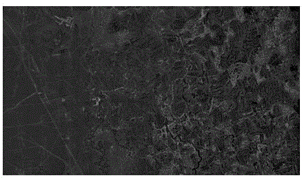 Light and color homogenizing method and system used among images and considering radiation two-dimensional distribution