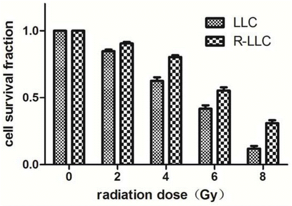 Radioresistant lung cancer whole-cell vaccine, and preparation method and application thereof