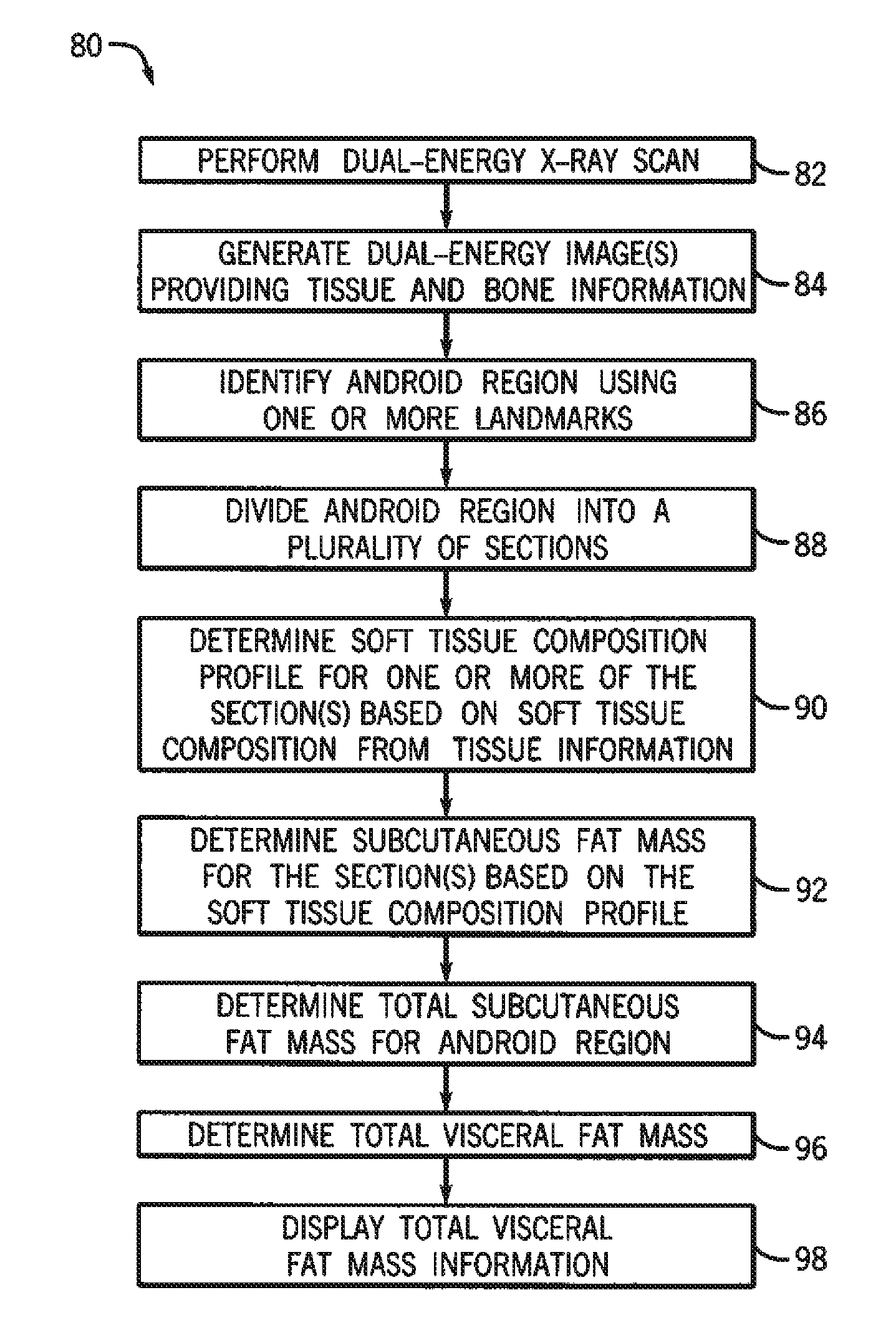 Methods and apparatus for measuring visceral fat mass