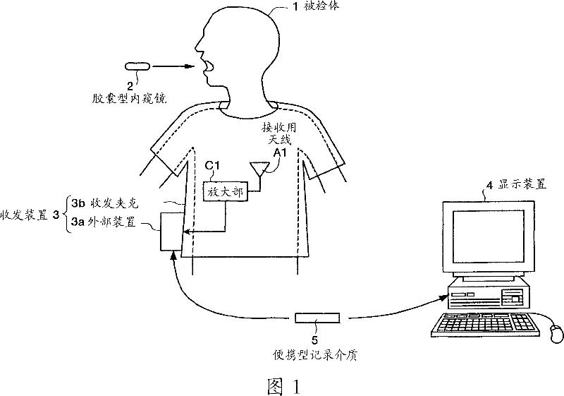 Wireless tested body inner information acquiring system