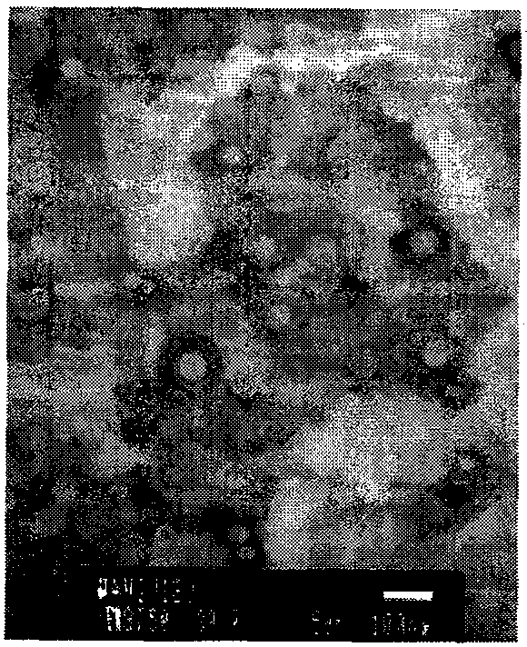 Ancitabine dimyristate acid ester liposome and preparation method thereof