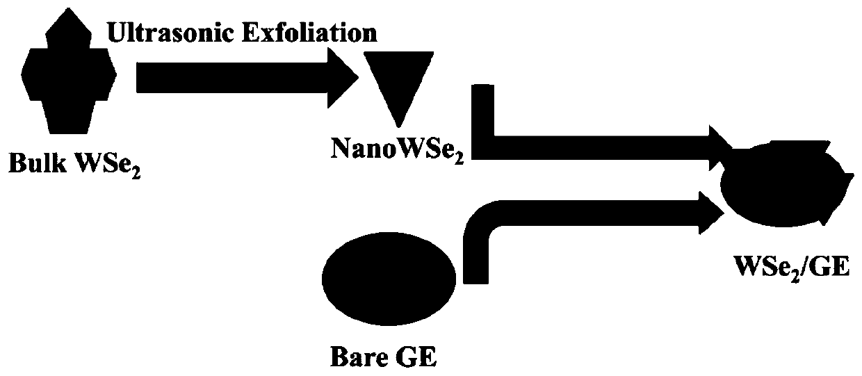 Method for detecting dopamine by using nanometer tungsten diselenide modified gold electrode photoinduced electrochemical sensor