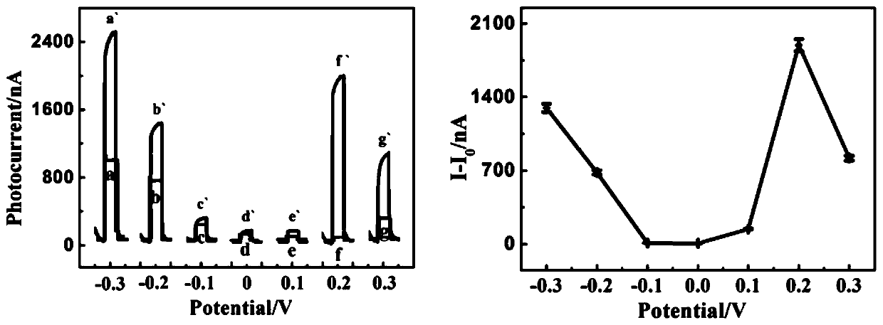 Method for detecting dopamine by using nanometer tungsten diselenide modified gold electrode photoinduced electrochemical sensor