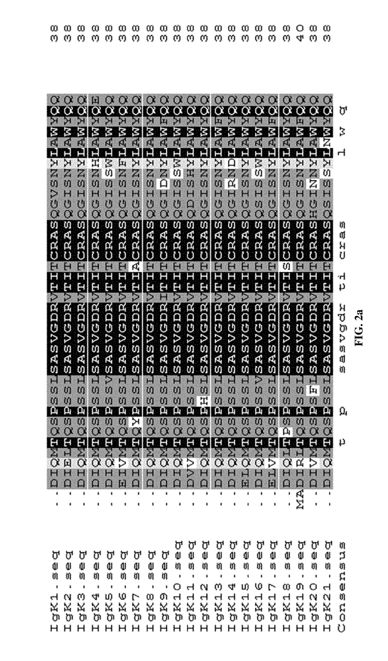 ANTI-TNF-alpha FULLY HUMAN MONOCLONAL ANTIBODIES WITH LOW IMMUNOGENICITY AND APPLICATION THEREOF