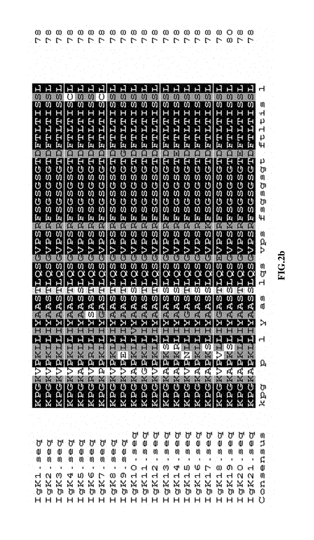 ANTI-TNF-alpha FULLY HUMAN MONOCLONAL ANTIBODIES WITH LOW IMMUNOGENICITY AND APPLICATION THEREOF