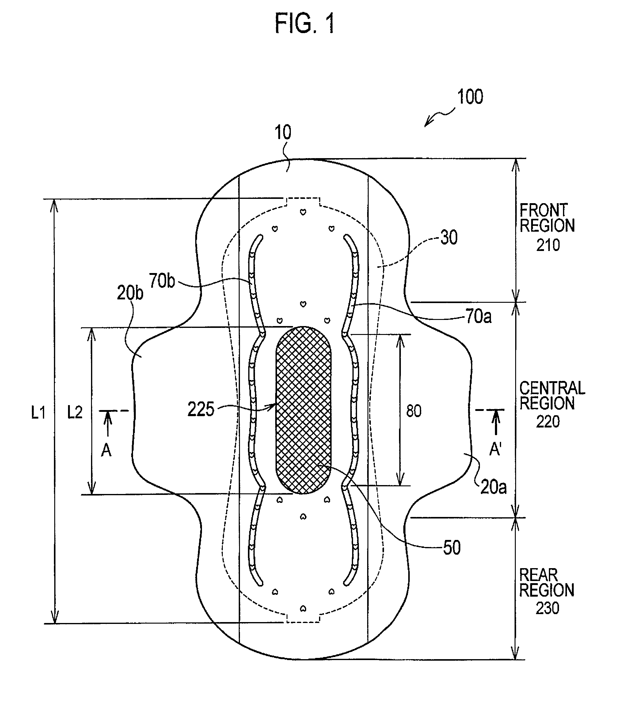 Absorbent article and sanitary napkin