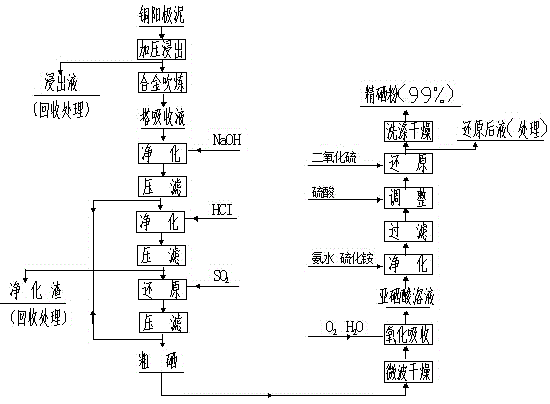 Wet process refining technology for purifying selenium