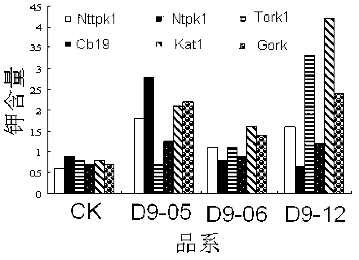 Breeding method capable of improving content of potassium in tobacco leaves