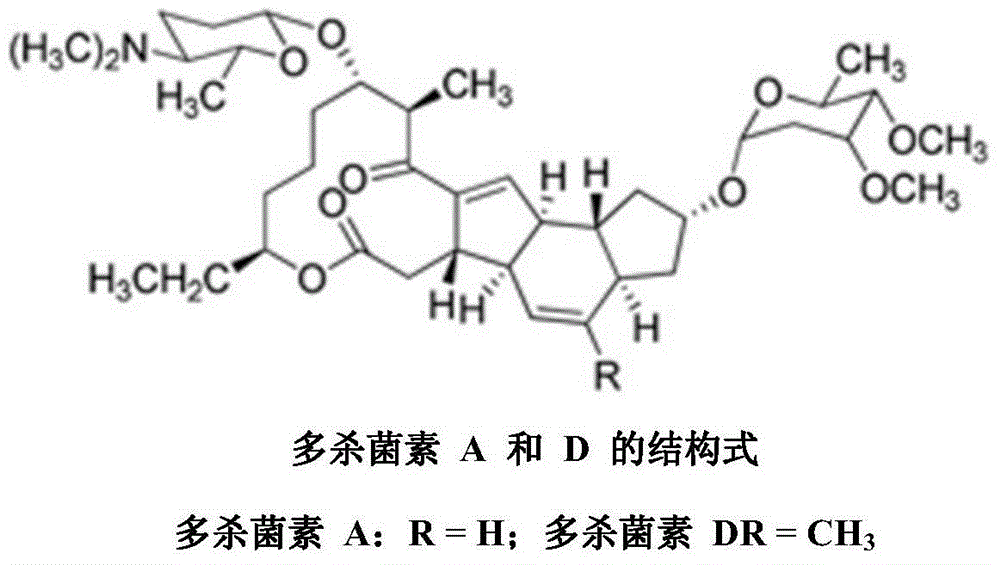 Method for extracting pleocidin from saccharopolyspora spinosa fermentation liquor