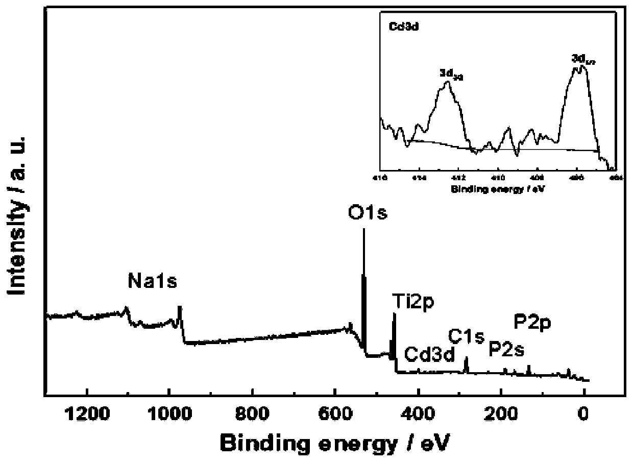 A biosensor for electrochemical detection of phosphorylated β-amyloid protein and its construction method