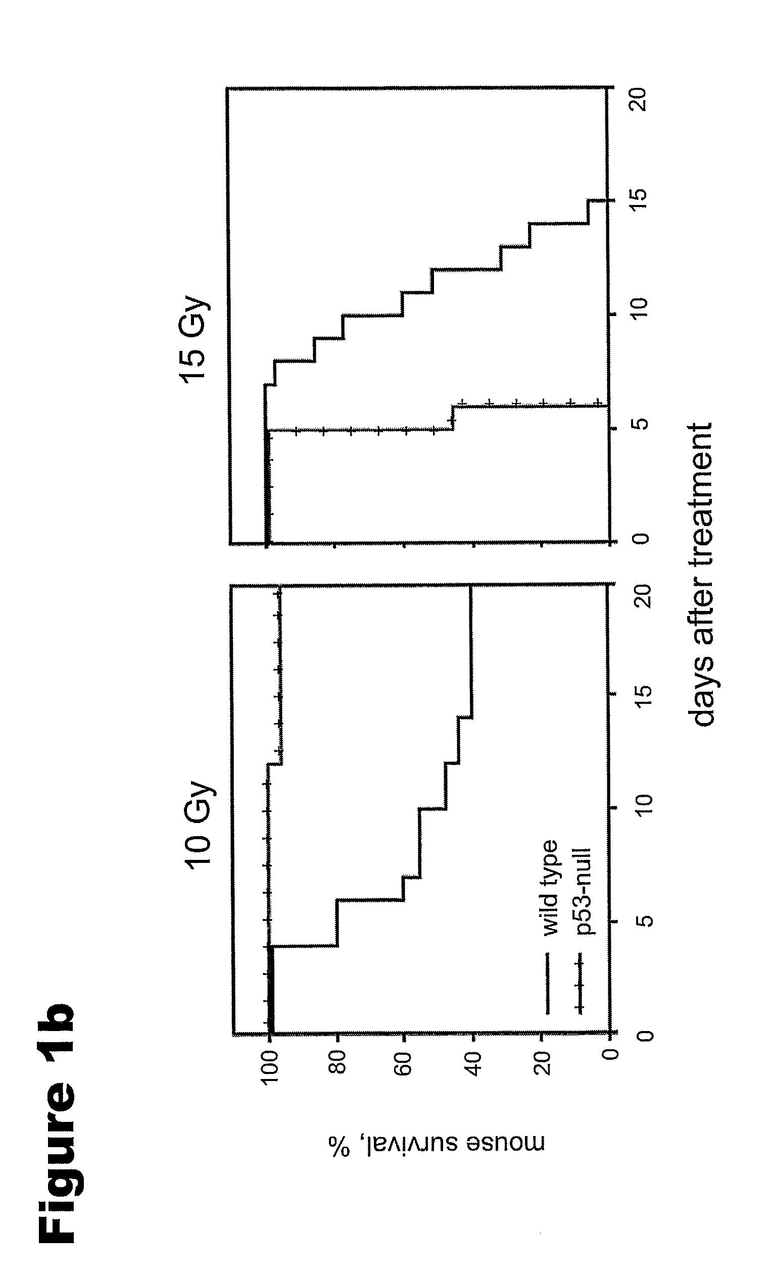 Methods of protecting against apoptosis using lipopeptides